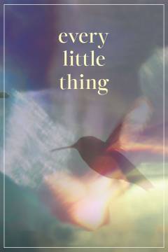 Every little thing
