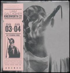 Knebworth 22
