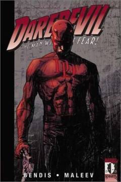 Daredevil : the man without fear!. Vol. 2
