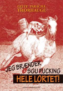 Jeg brænder sgu fucking hele lortet!