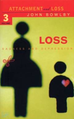 Loss : sadness and depression