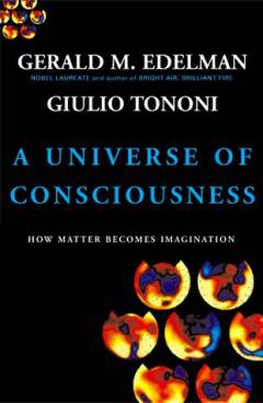 A universe of consciousness : how matter becomes imagination