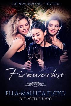 Fireworks : en julenovelle