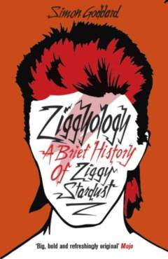 Ziggyology : a brief history of Ziggy Stardust