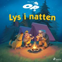 Lys i natten
