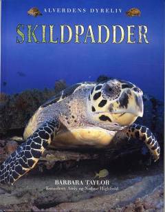 Skildpadder