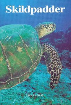 Bog, 1. udgave, 1999