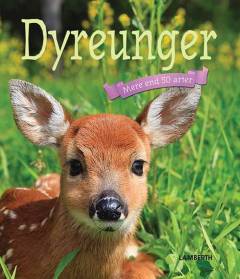 Dejlige dyreunger