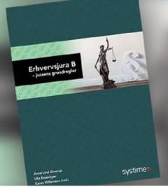 Erhvervsjura B : juraens grundregler