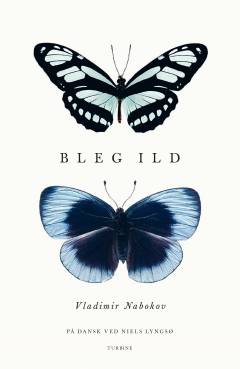 Bleg ild