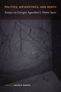 Politics, metaphysics, and death : essays on Giorgio Agamben's Homo sacer