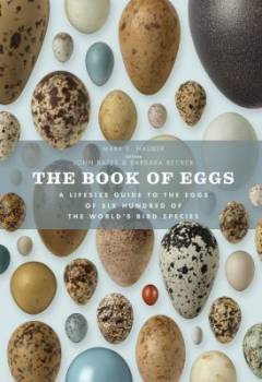 The book of eggs : a lifesize guide to the eggs of six hundred of the world's bird species