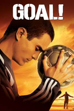 Film (dvd), 2006