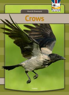 Crows
