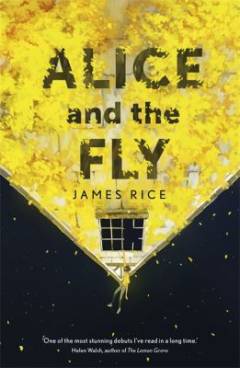 Alice and the fly