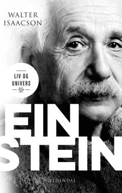 Einstein : liv og univers