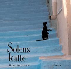Solens katte