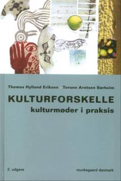 Kulturforskelle : kulturmøder i praksis