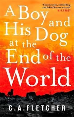 A boy and his dog at the end of the world
