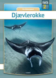 Djævlerokke