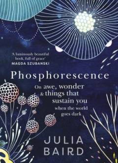 Phosphorescence : on awe, wonder & things that sustain you when the world goes dark
