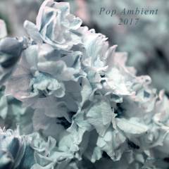 Pop ambient 2017