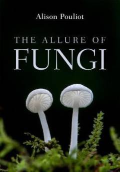 The allure of fungi