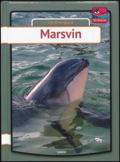 Marsvin