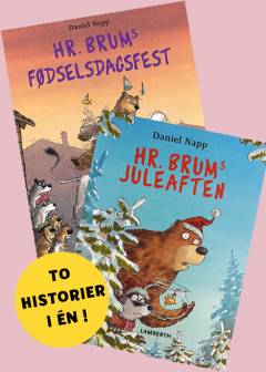 Hr. Brums fødselsdagsfest: Hr. Brums juleaften