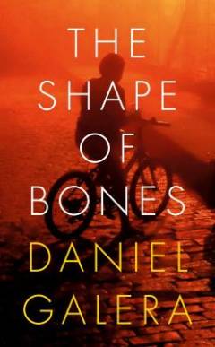 The shape of bones