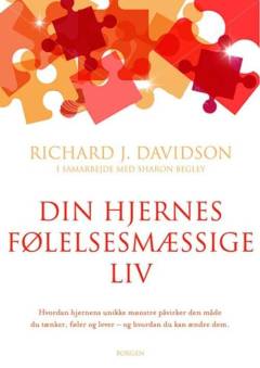 Din hjernes følelsesmæssige liv : hvordan hjernens unikke mønstre påvirker den måde, du tænker, føler og lever - og hvordan du kan ændre dem