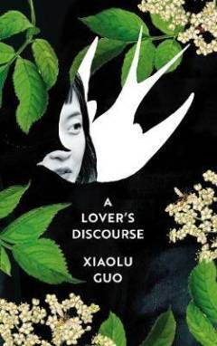 A lover's discourse