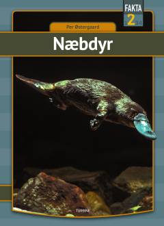 Næbdyr