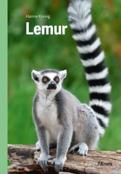 Lemur