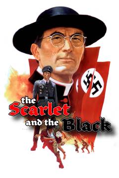 Film (dvd), 2008