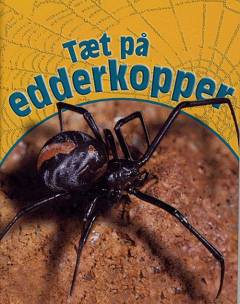 Tæt på edderkopper
