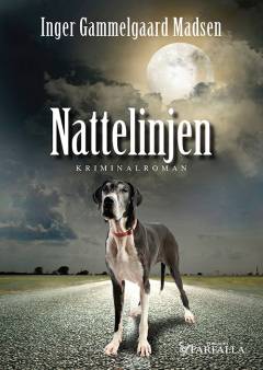 Nattelinjen : kriminalroman