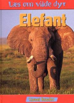 Elefant