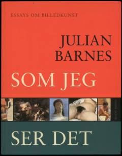 Som jeg ser det : essays om billedkunst