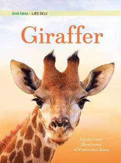 Giraffer