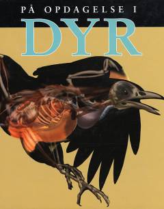 På opdagelse i dyr