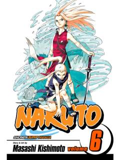 Naruto, Volume 6 : Predator