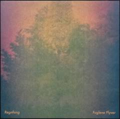 Fuglene flyver