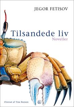 Tilsandede liv : en russisk mosaik