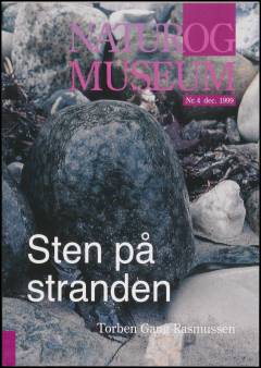 Sten på stranden