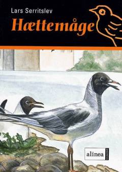 Hættemåge