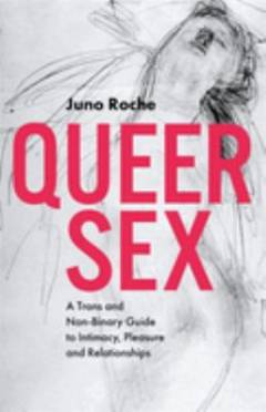 Queer sex : a trans and non-binary guide to intimacy, pleasure and relationships