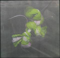 Musik (grammofonplade), 2017
