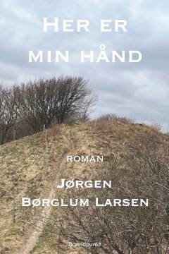Her er min hånd