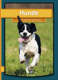 Hunde